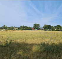 Grundstück zu verkaufen in Bersteland OT Freiwalde 69.990,00 € 763 m²