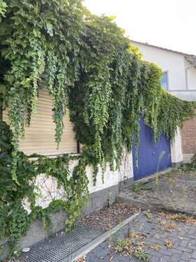 Foto - Haus zum Mieten in Alzey 1.400,00 € 140 m²