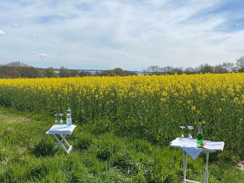 Foto - Grundstück zu verkaufen in Schleswig 179.000,00 € 1202 m²