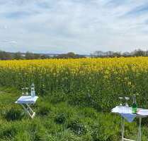 Grundstück zu verkaufen in Schleswig 179.000,00 € 1202 m²