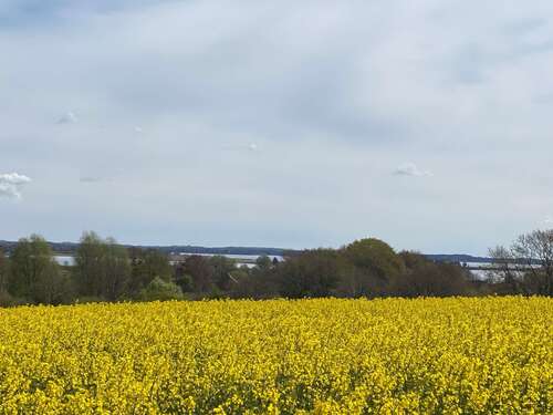 Foto - Grundstück zu verkaufen in Schleswig 179.000,00 € 1202 m²