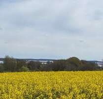 Grundstück zu verkaufen in Schleswig 179.000,00 € 1202 m²