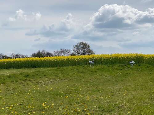 Foto - Grundstück zu verkaufen in Schleswig 179.000,00 € 1202 m²