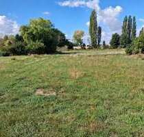 Grundstück zu verkaufen in Linsengericht 295.000,00 € 756 m²