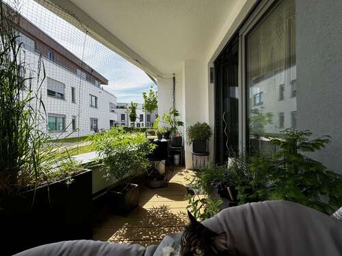 Foto - Wohnung zum Mieten in Heppenheim 825,00 € 67 m²