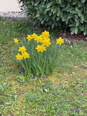 Foto - Wohnung zum Kaufen in Reichenbach an der Fils 239.000,00 € 67 m²