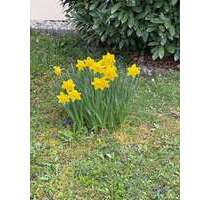 Wohnung zum Kaufen in Reichenbach an der Fils 239.000,00 € 67 m²