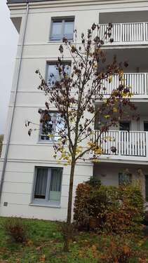 Foto - Wohnung zum Mieten in Strausberg 760,00 € 75 m²