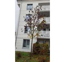 Wohnung zum Mieten in Strausberg 760,00 € 75 m²