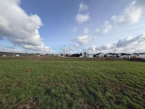 Foto - Grundstück zu verkaufen in Muggensturm 120.000,00 € 223 m²