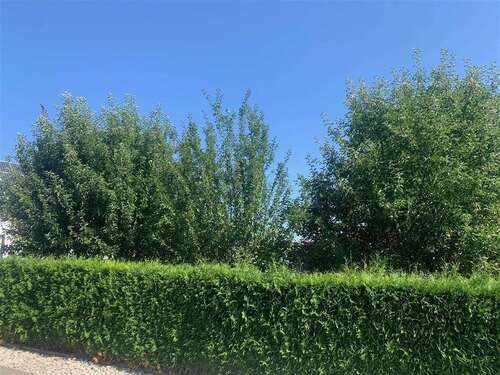 Foto - Grundstück zu verkaufen in Sinzing , Oberpf 149.000,00 € 302 m²