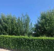 Grundstück zu verkaufen in Sinzing , Oberpf 149.000,00 € 302 m²