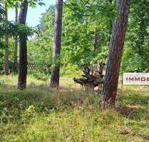 Grundstück zu verkaufen in Am Mellensee 180.000,00 € 897 m²