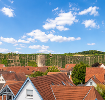 Wohnung zum Kaufen in Besigheim 559.000,00 € 123.4 m²