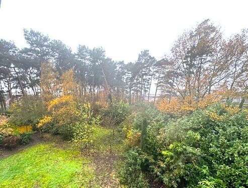 Foto - Haus zum Kaufen in Verl 629.000,00 € 198 m²