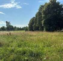 Grundstück zu verkaufen in Rieps 149.900,00 € 1100 m²