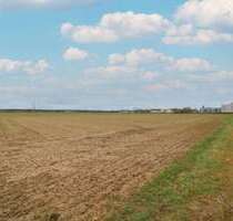 Grundstück zu verkaufen in Kandel 1.250.000,00 € 27743.21 m²