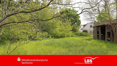 Foto - Grundstück zu verkaufen in Kotzen 99.000,00 € 9516 m²