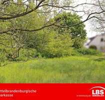 Grundstück zu verkaufen in Kotzen 99.000,00 € 9516 m²