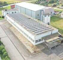 Halle in Seulingen 4.960,00 € 992 m²