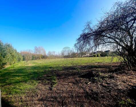Foto - Grundstück zu verkaufen in Sassenburg Neudorf-Platendorf 156.000,00 € 1200 m²