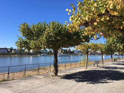 Foto - Wohnung zum Kaufen in Bonn-Beuel 222.000,00 € 52 m²