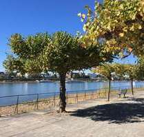 Wohnung zum Kaufen in Bonn-Beuel 222.000,00 € 52 m²