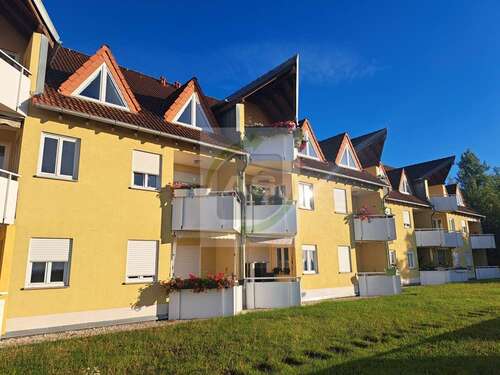 Foto - Wohnung zum Mieten in Zwickau 350,00 € 50.48 m²