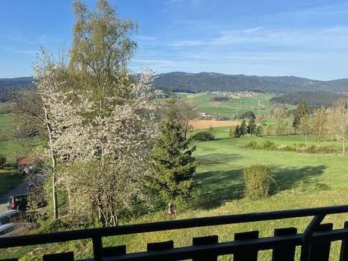 Foto - Wohnung zum Kaufen in Regen 57.000,00 € 42 m²