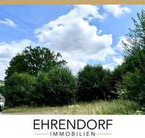 Grundstück zu verkaufen in Lüdenscheid 195.000,00 € 1593 m²