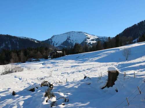 Foto - Wohnung zum Kaufen in Oberstaufen - Steibis 348.000,00 € 72.5 m²