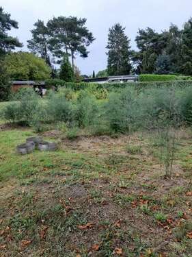 Foto - Grundstück zu verkaufen in Ludwigsfelde 199.900,00 € 499 m²