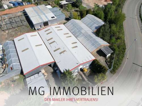 Foto - Halle in Ramstein-Miesenbach 599.000,00 € 720 m²