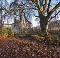 Haus zum Kaufen in Freital 539.000,00 € 419 m²