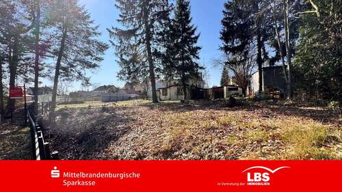 Foto - Grundstück zu verkaufen in Birkenwerder 329.000,00 € 889 m²