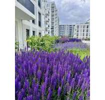 Wohnung zum Mieten in Berlin 918,00 € 35.3 m²