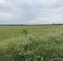 Grundstück zu verkaufen in Siestedt 99.000,00 € 10000 m²