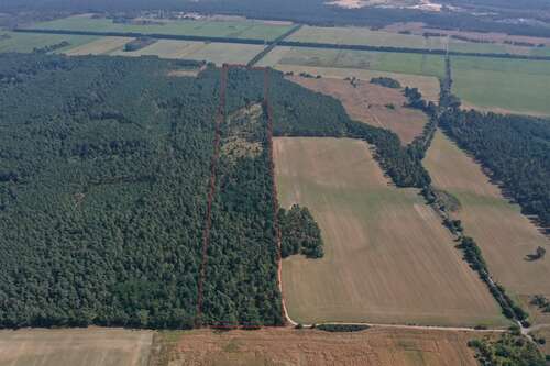 Foto - Grundstück in Rüdersdorf 195.000,00 € 290000 m²