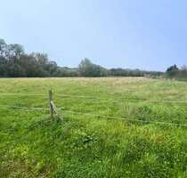 Grundstück zu verkaufen in Merzkirchen Körrig 224.800,00 € 4000 m² - Merzkirchen / Körrig