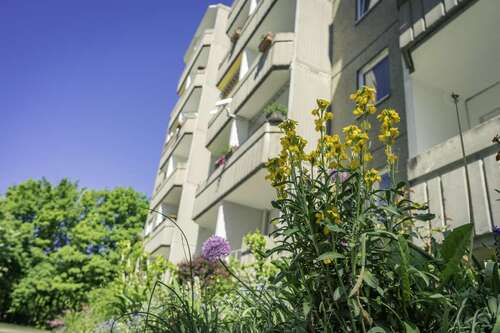Foto - Wohnung zum Mieten in Chemnitz 275,00 € 54.71 m²