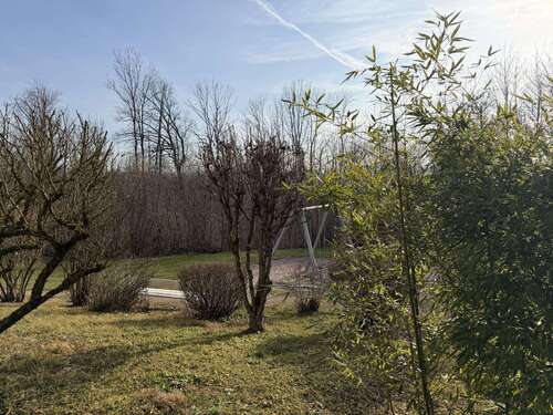 Foto - Wohnung zum Kaufen in Reichenbach 230.000,00 € 65 m²