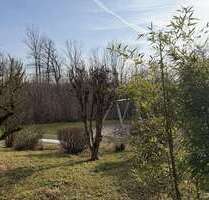 Wohnung zum Kaufen in Reichenbach 230.000,00 € 65 m²