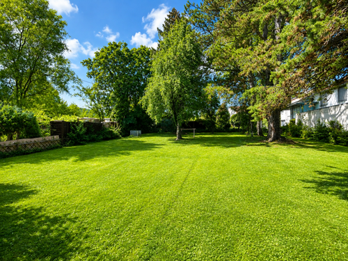 Foto - Grundstück zu verkaufen in Birkmannsweiler 339.000,00 € 517 m²