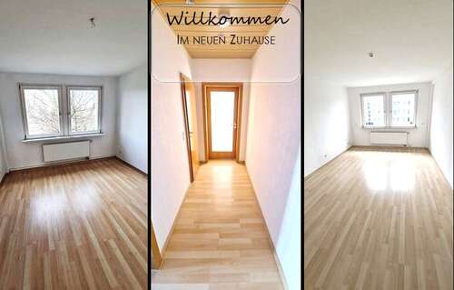 Foto - Wohnung zum Mieten in Chemnitz 255,00 € 46.95 m²