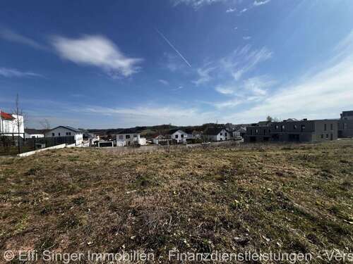 Foto - Grundstück zu verkaufen in Ellwangen 314.240,00 € 981 m²