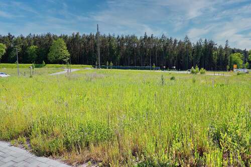 Foto - Grundstück zu verkaufen in Creußen 97.995,00 € 705 m²
