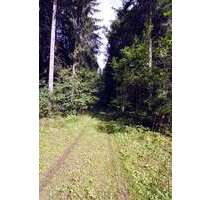 Grundstück in Oberbiberg 123.000,00 € 10700 m²