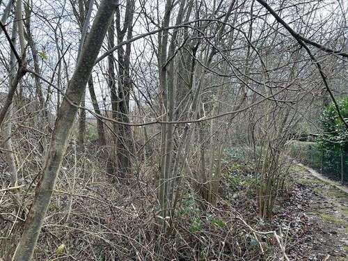 Foto - Grundstück zu verkaufen in Barsinghausen 178.000,00 € 831 m²