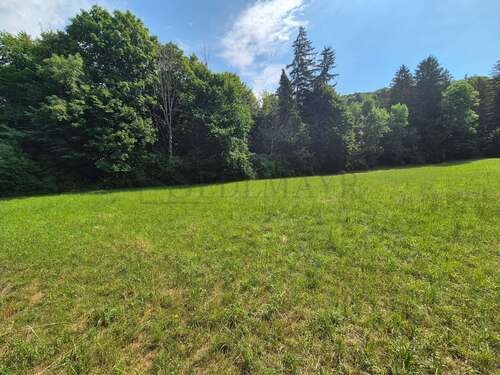 Foto - Grundstück in Herrsching am Ammersee 80.000,00 € 9011 m²