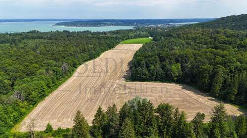 Foto - Grundstück in Herrsching am Ammersee 532.000,00 € 69817 m²